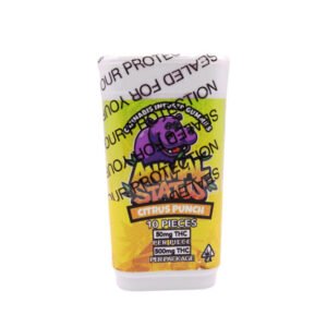 Animal Status Citrus Punch THC Gummies 500mg