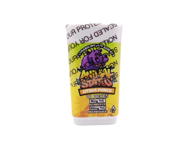 Animal Status Citrus Punch THC Gummies 500mg